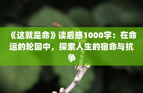 《这就是命》读后感1000字：在命运的轮回中，探索人生的宿命与抗争