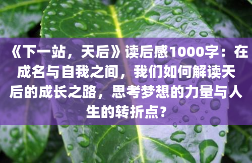 《下一站，天后》读后感1000字：在成名与自我之间，我们如何解读天后的成长之路，思考梦想的力量与人生的转折点？