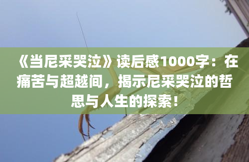 《当尼采哭泣》读后感1000字：在痛苦与超越间，揭示尼采哭泣的哲思与人生的探索！