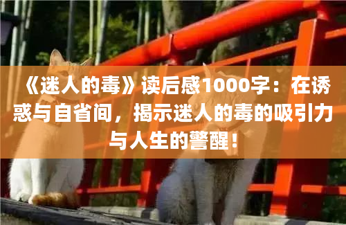 《迷人的毒》读后感1000字：在诱惑与自省间，揭示迷人的毒的吸引力与人生的警醒！