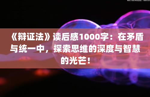 《辩证法》读后感1000字：在矛盾与统一中，探索思维的深度与智慧的光芒！