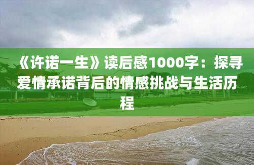 《许诺一生》读后感1000字：探寻爱情承诺背后的情感挑战与生活历程