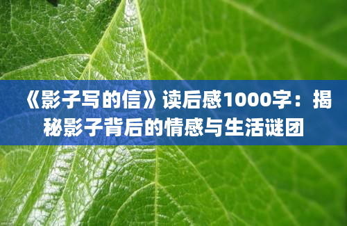 《影子写的信》读后感1000字：揭秘影子背后的情感与生活谜团