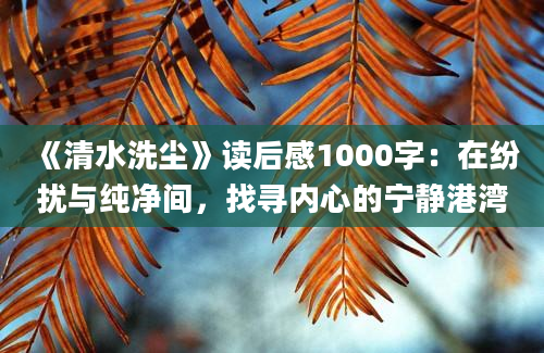 《清水洗尘》读后感1000字：在纷扰与纯净间，找寻内心的宁静港湾