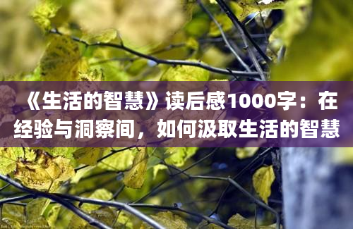 《生活的智慧》读后感1000字：在经验与洞察间，如何汲取生活的智慧