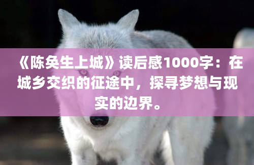 《陈奂生上城》读后感1000字：在城乡交织的征途中，探寻梦想与现实的边界。