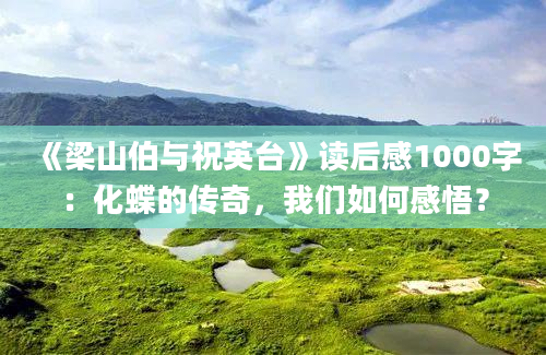 《梁山伯与祝英台》读后感1000字：化蝶的传奇，我们如何感悟？