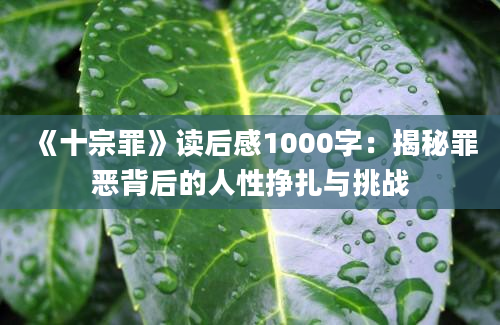 《十宗罪》读后感1000字：揭秘罪恶背后的人性挣扎与挑战