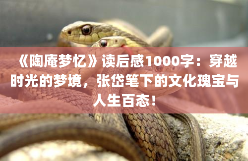 《陶庵梦忆》读后感1000字：穿越时光的梦境，张岱笔下的文化瑰宝与人生百态！