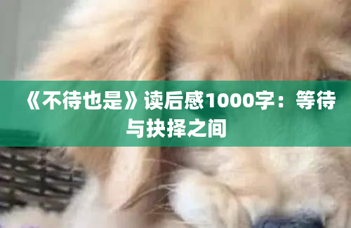 《不待也是》读后感1000字：等待与抉择之间