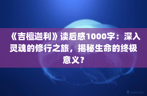 《吉檀迦利》读后感1000字：深入灵魂的修行之旅，揭秘生命的终极意义？