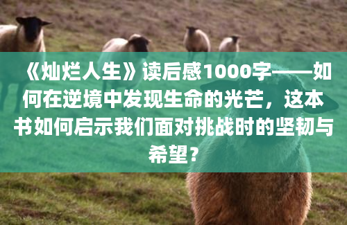 《灿烂人生》读后感1000字——如何在逆境中发现生命的光芒，这本书如何启示我们面对挑战时的坚韧与希望？