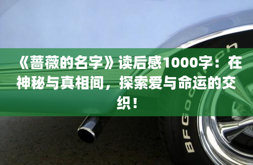 《蔷薇的名字》读后感1000字：在神秘与真相间，探索爱与命运的交织！