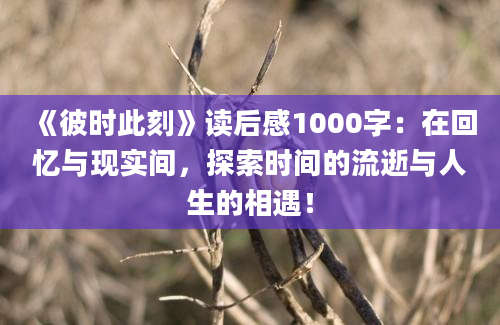 《彼时此刻》读后感1000字：在回忆与现实间，探索时间的流逝与人生的相遇！