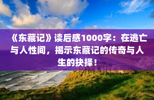 《东藏记》读后感1000字：在逃亡与人性间，揭示东藏记的传奇与人生的抉择！