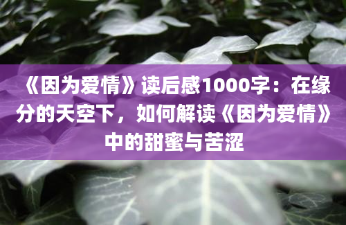 《因为爱情》读后感1000字：在缘分的天空下，如何解读《因为爱情》中的甜蜜与苦涩