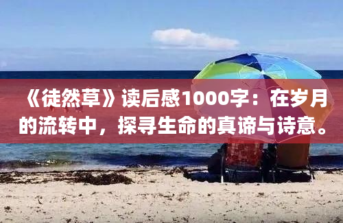 《徒然草》读后感1000字：在岁月的流转中，探寻生命的真谛与诗意。