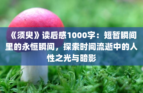 《须臾》读后感1000字：短暂瞬间里的永恒瞬间，探索时间流逝中的人性之光与暗影