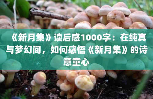 《新月集》<a href=https://www.baixuetang.com target=_blank class=infotextkey>读后感</a>1000字：在纯真与梦幻间，如何感悟《新月集》的诗意童心