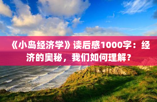 《小岛经济学》读后感1000字：经济的奥秘，我们如何理解？