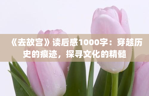 《去故宫》读后感1000字：穿越历史的痕迹，探寻文化的精髓