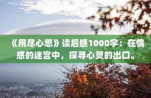 《用尽心思》读后感1000字：在情感的迷宫中，探寻心灵的出口。