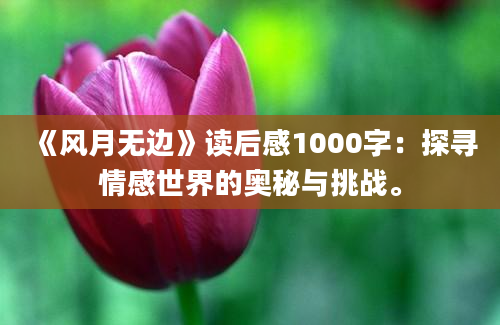 《风月无边》读后感1000字：探寻情感世界的奥秘与挑战。