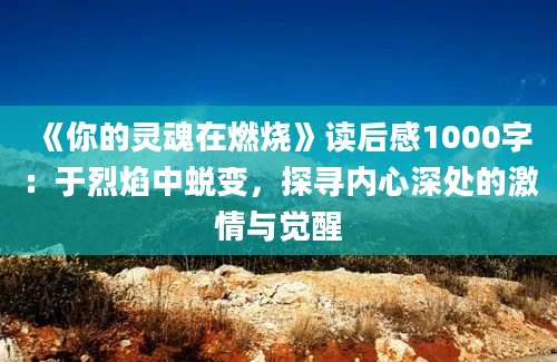 《你的灵魂在燃烧》读后感1000字：于烈焰中蜕变，探寻内心深处的激情与觉醒