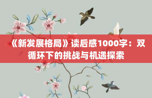 《新发展格局》读后感1000字：双循环下的挑战与机遇探索