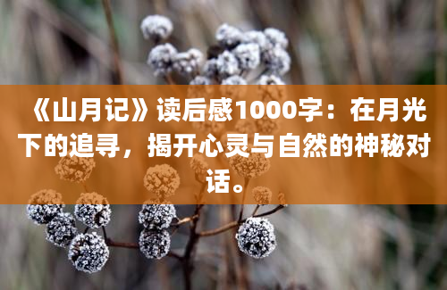 《山月记》读后感1000字：在月光下的追寻，揭开心灵与自然的神秘对话。