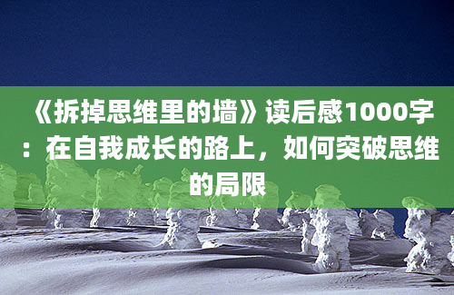 《拆掉思维里的墙》读后感1000字：在自我成长的路上，如何突破思维的局限