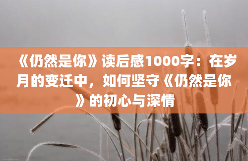 《仍然是你》读后感1000字：在岁月的变迁中，如何坚守《仍然是你》的初心与深情