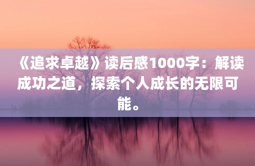 《追求卓越》读后感1000字：解读成功之道，探索个人成长的无限可能。