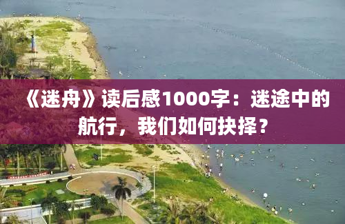 《迷舟》读后感1000字：迷途中的航行，我们如何抉择？