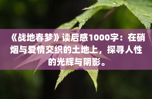 《战地春梦》读后感1000字：在硝烟与爱情交织的土地上，探寻人性的光辉与阴影。