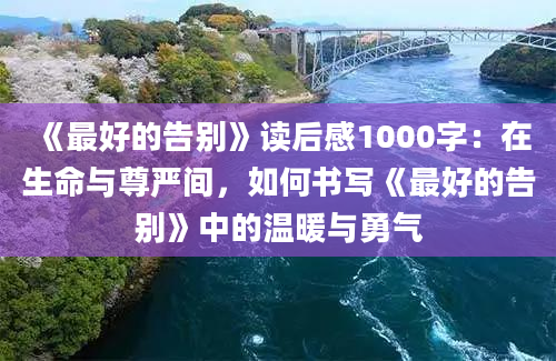 《最好的告别》读后感1000字：在生命与尊严间，如何书写《最好的告别》中的温暖与勇气