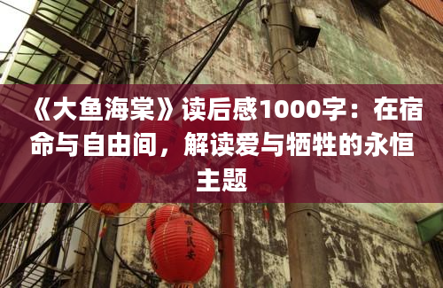 《大鱼海棠》读后感1000字：在宿命与自由间，解读爱与牺牲的永恒主题