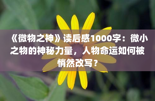 《微物之神》读后感1000字：微小之物的神秘力量，人物命运如何被悄然改写？