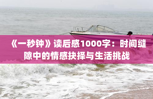 《一秒钟》读后感1000字：时间缝隙中的情感抉择与生活挑战