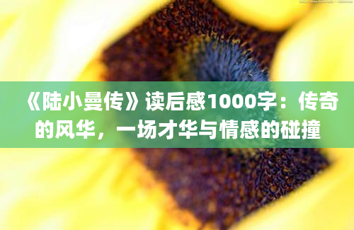 《陆小曼传》读后感1000字：传奇的风华，一场才华与情感的碰撞