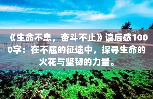 《生命不息，奋斗不止》读后感1000字：在不屈的征途中，探寻生命的火花与坚韧的力量。