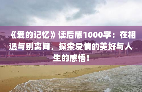 《爱的记忆》读后感1000字：在相遇与别离间，探索爱情的美好与人生的感悟！