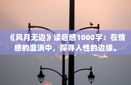 《风月无边》读后感1000字：在情感的漩涡中，探寻人性的边缘。