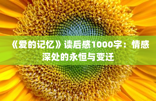 《爱的记忆》读后感1000字：情感深处的永恒与变迁