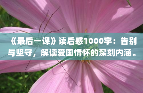 《最后一课》读后感1000字：告别与坚守，解读爱国情怀的深刻内涵。