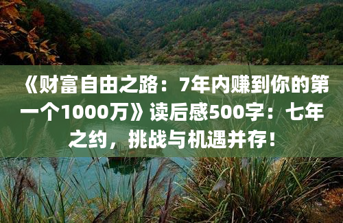 《财富自由之路：7年内赚到你的第一个1000万》读后感500字：七年之约，挑战与机遇并存！