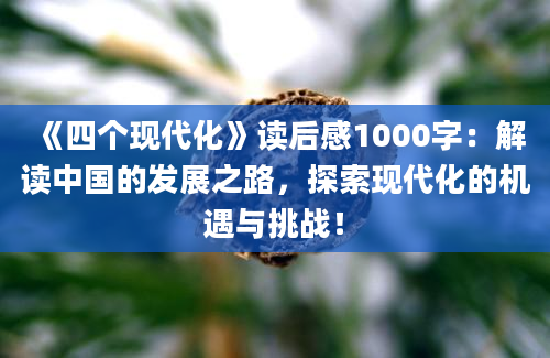 《四个现代化》读后感1000字：解读中国的发展之路，探索现代化的机遇与挑战！