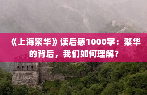 《上海繁华》读后感1000字：繁华的背后，我们如何理解？