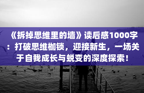 《拆掉思维里的墙》读后感1000字：打破思维枷锁，迎接新生，一场关于自我成长与蜕变的深度探索！