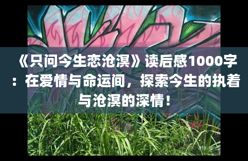 《只问今生恋沧溟》读后感1000字：在爱情与命运间，探索今生的执着与沧溟的深情！